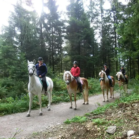 Hauserwirt Szálloda 3*