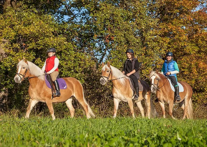 Hauserwirt 3* Münster