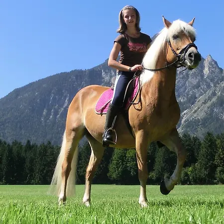 Hauserwirt 3* Münster