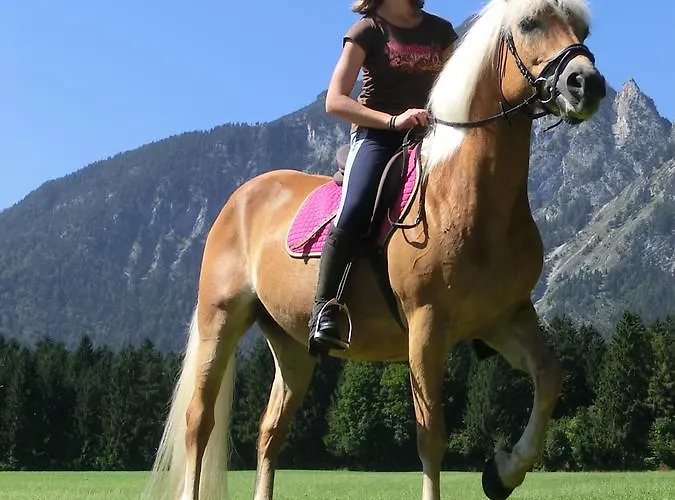 Hauserwirt 3* Münster