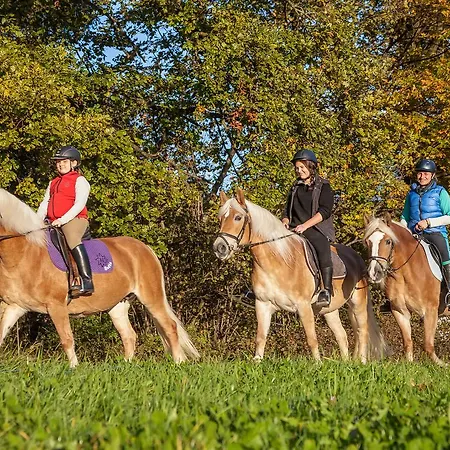 Hauserwirt 3* Münster